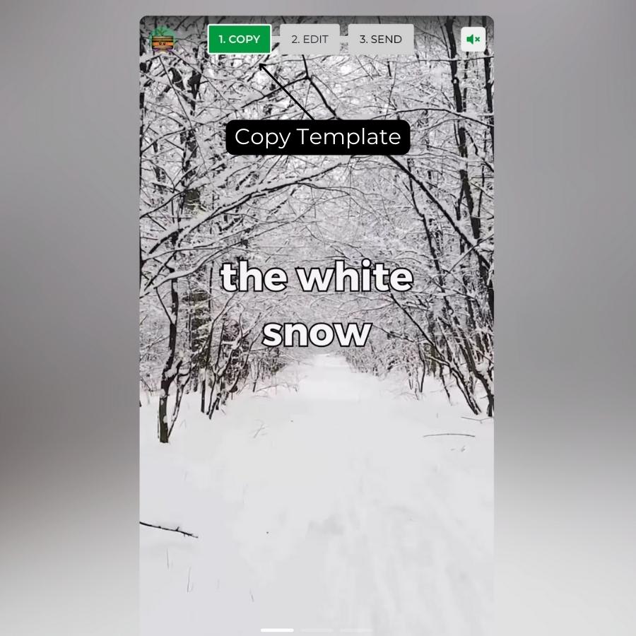 New Year Product Shots