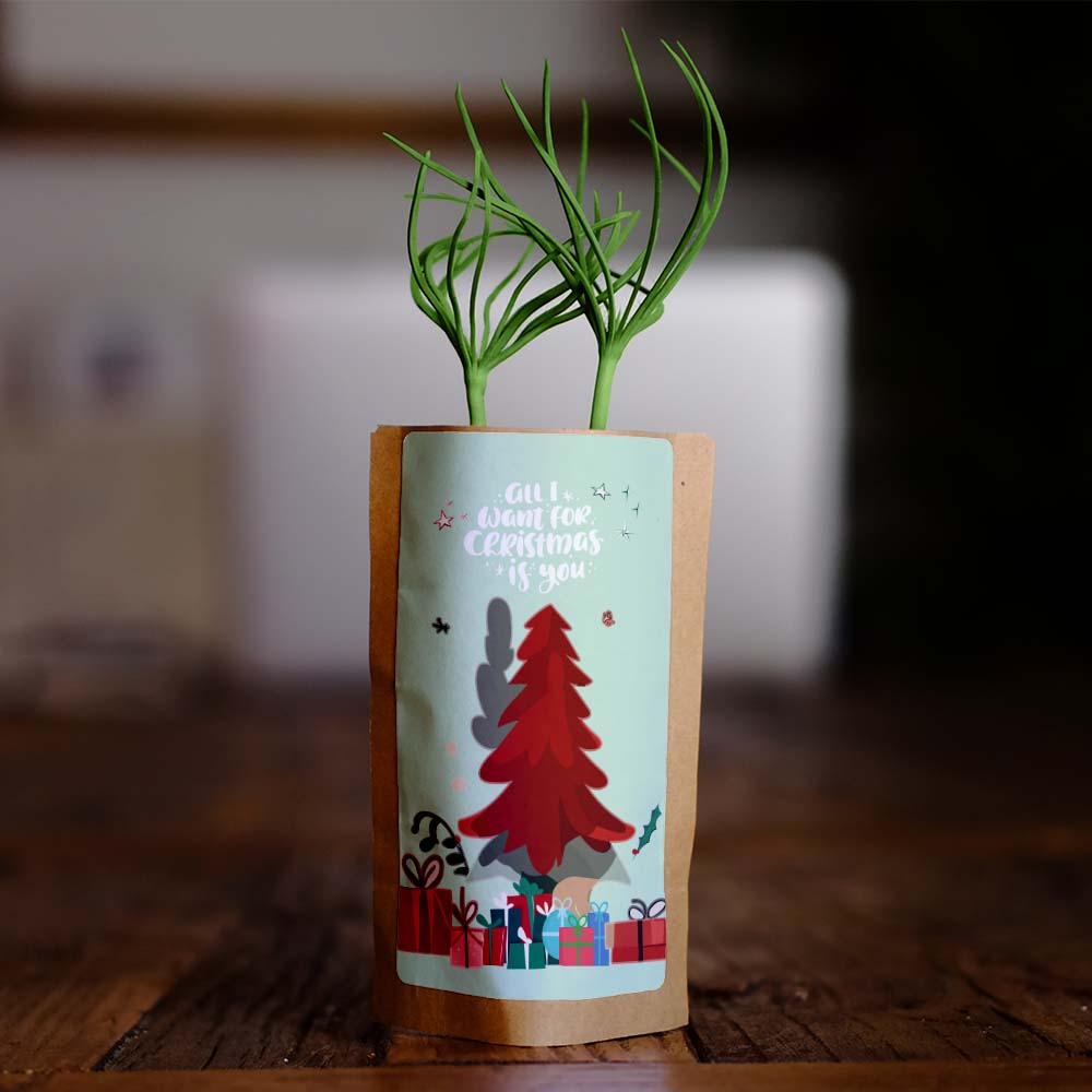 All I Want for Christmas is You