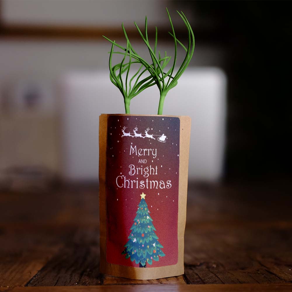 Merry and Bright Christmas Tree Gift