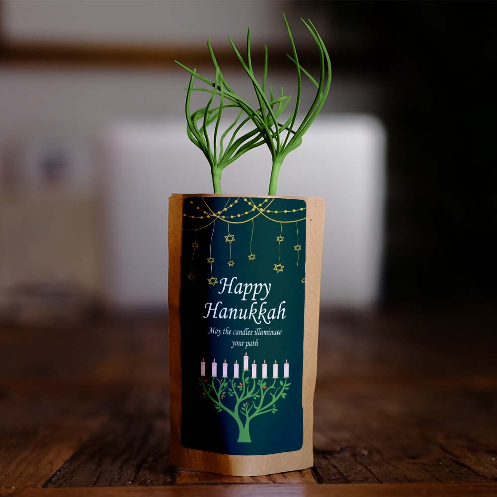 May the candles illuminate your path