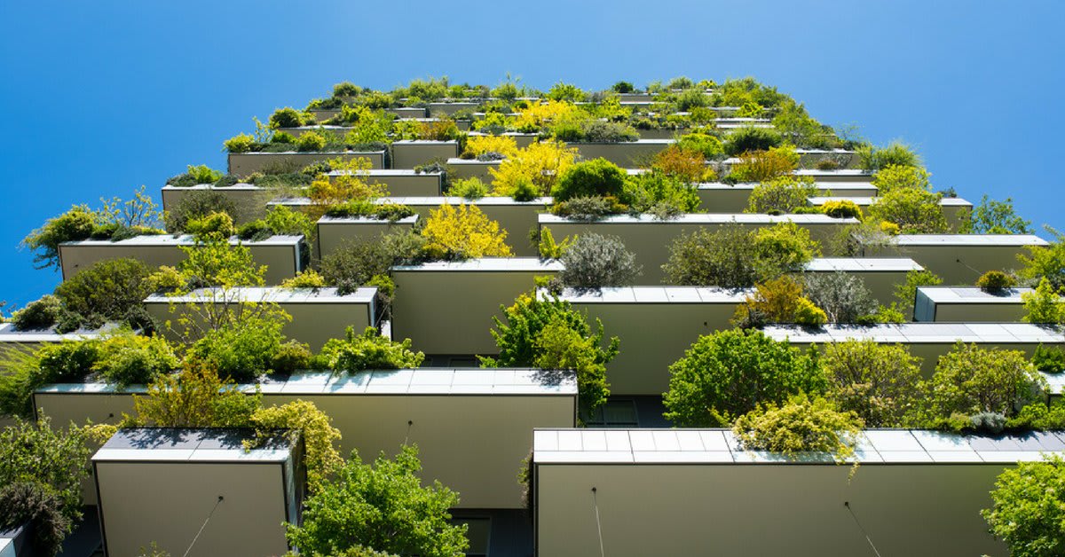 Eco-Friendly Innovations in Construction