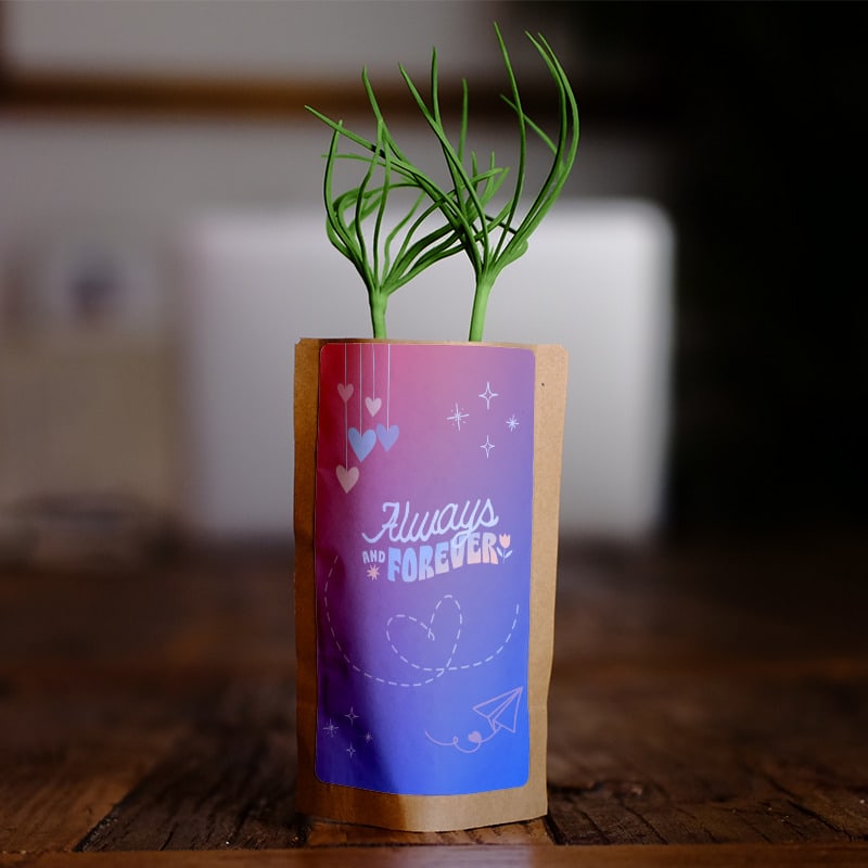 How Long Will I Love You