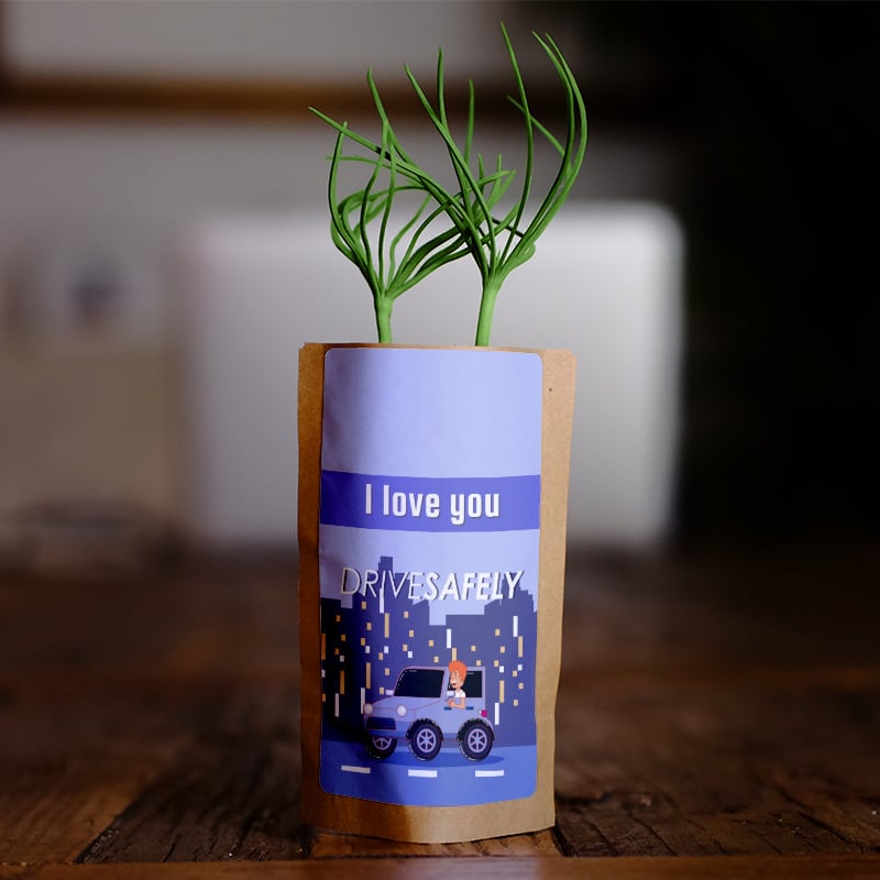 Drive Safe I Love You