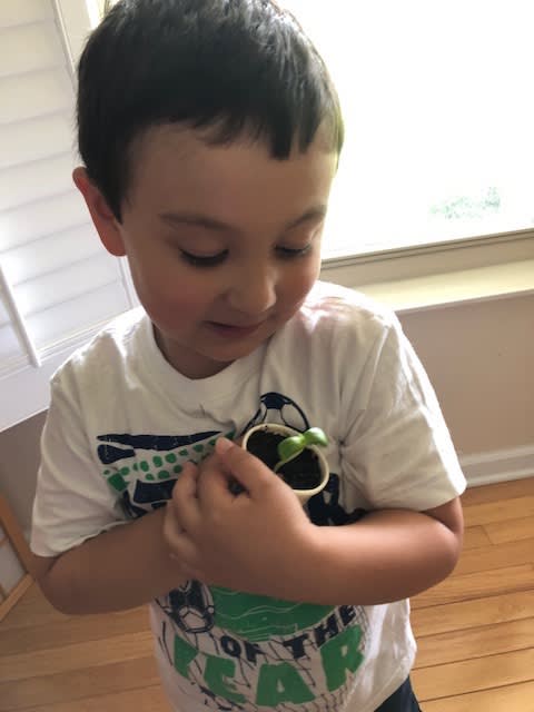 you plant we plant tree cup, we plant 10 more trees