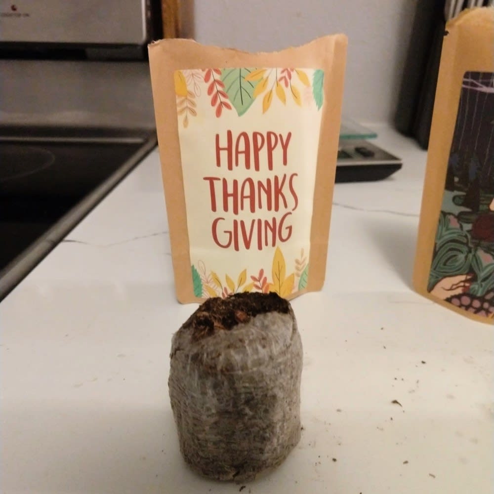 thanksgiving tree post