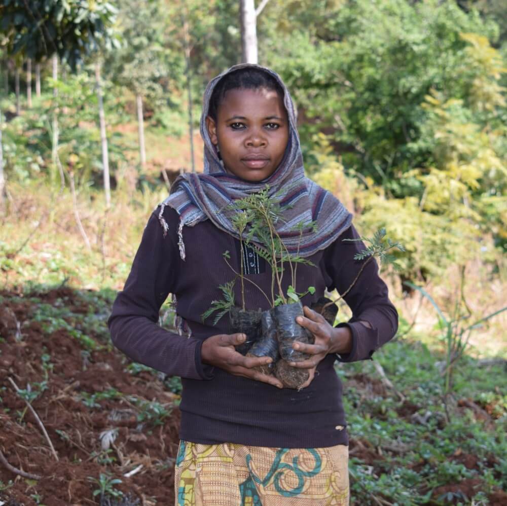 tanzania reforestation impact