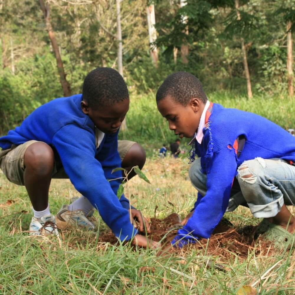 tanzania give back trees