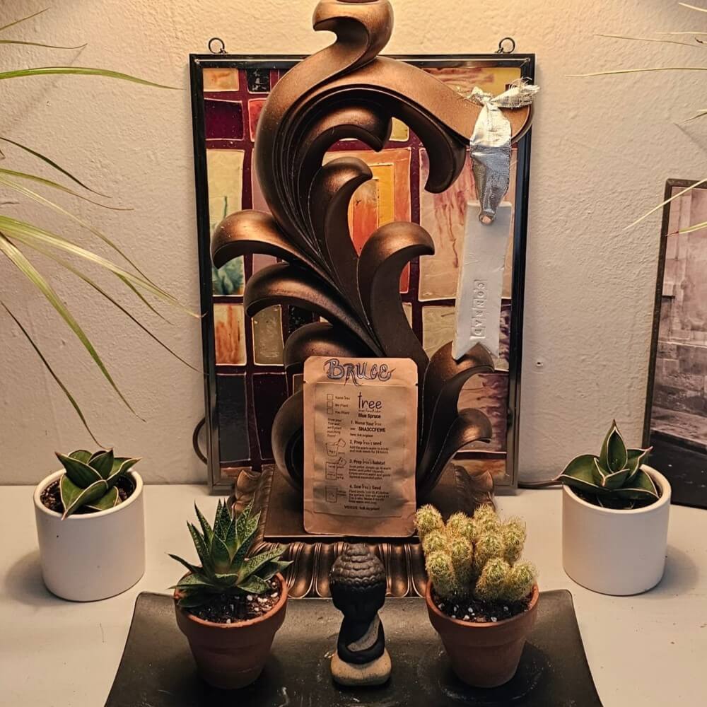 tree kit pouch at home with friends