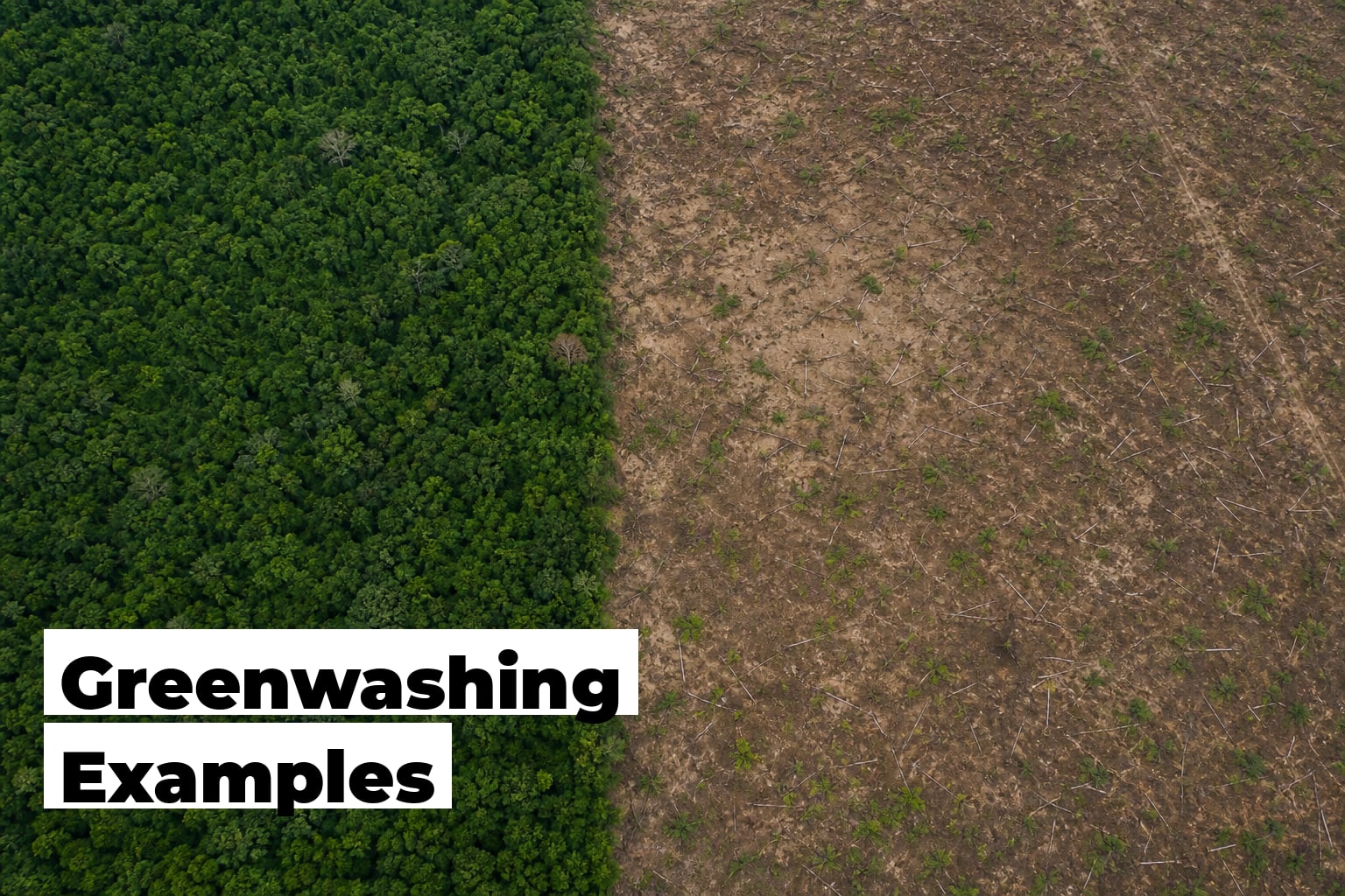 Greenwashing Examples: Real Cases and What Regulators Ruled