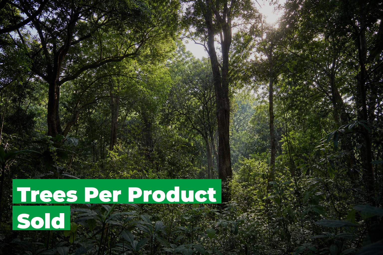 Sold Tree Trees Per Product Sold — How the Mechanic Works