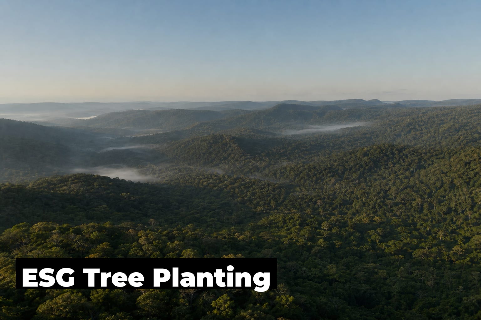 ESG Tree Planting: Field-Measured Data You Can Report