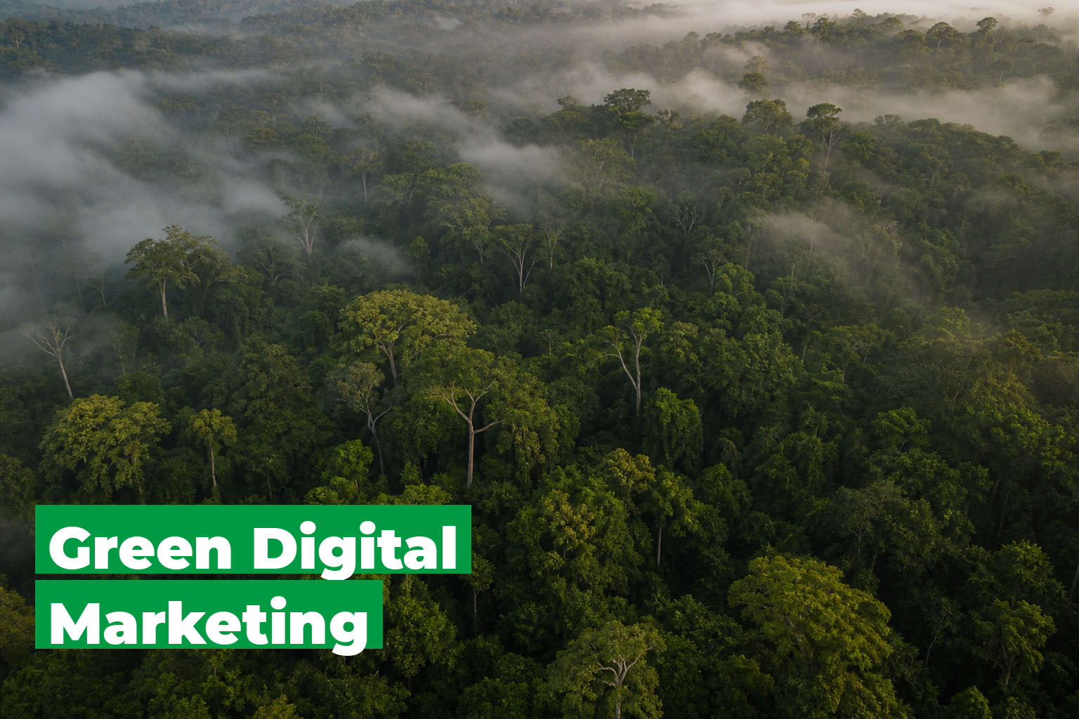 Green Digital Marketing — Strategy, Compliance and What Works