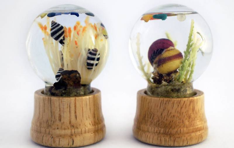 7 Talented Eco-Artists Of The Last Decades