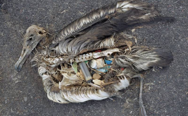 7 Talented Eco-Artists Of The Last Decades