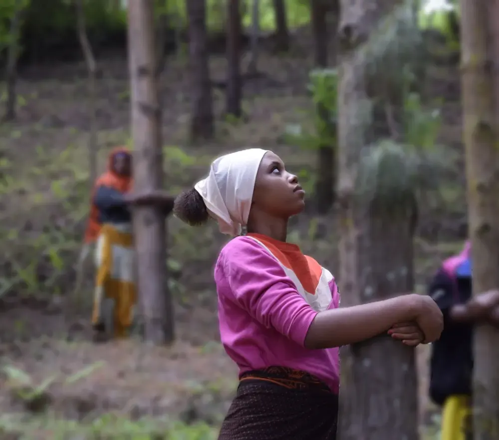 forestnationtanzania