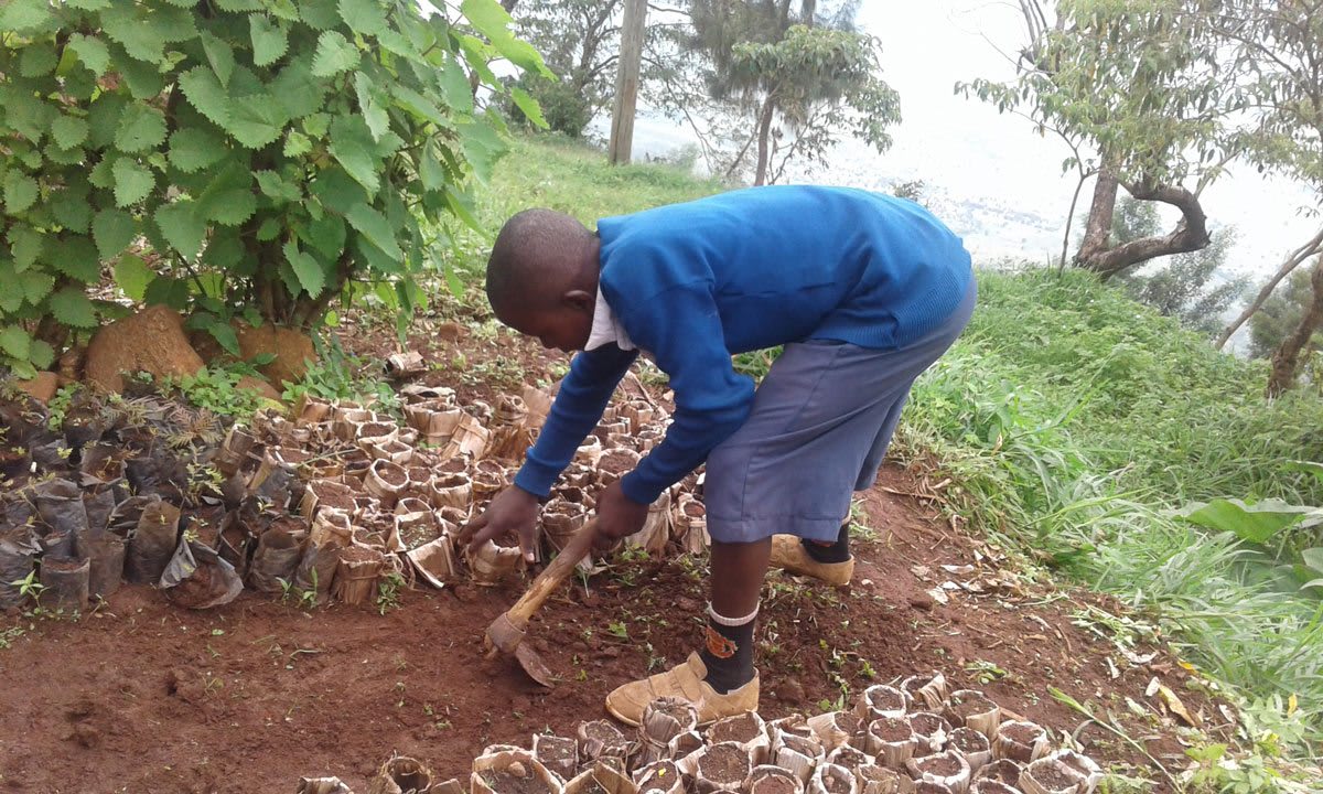 Tree-PLanting-Tanzania.jpg