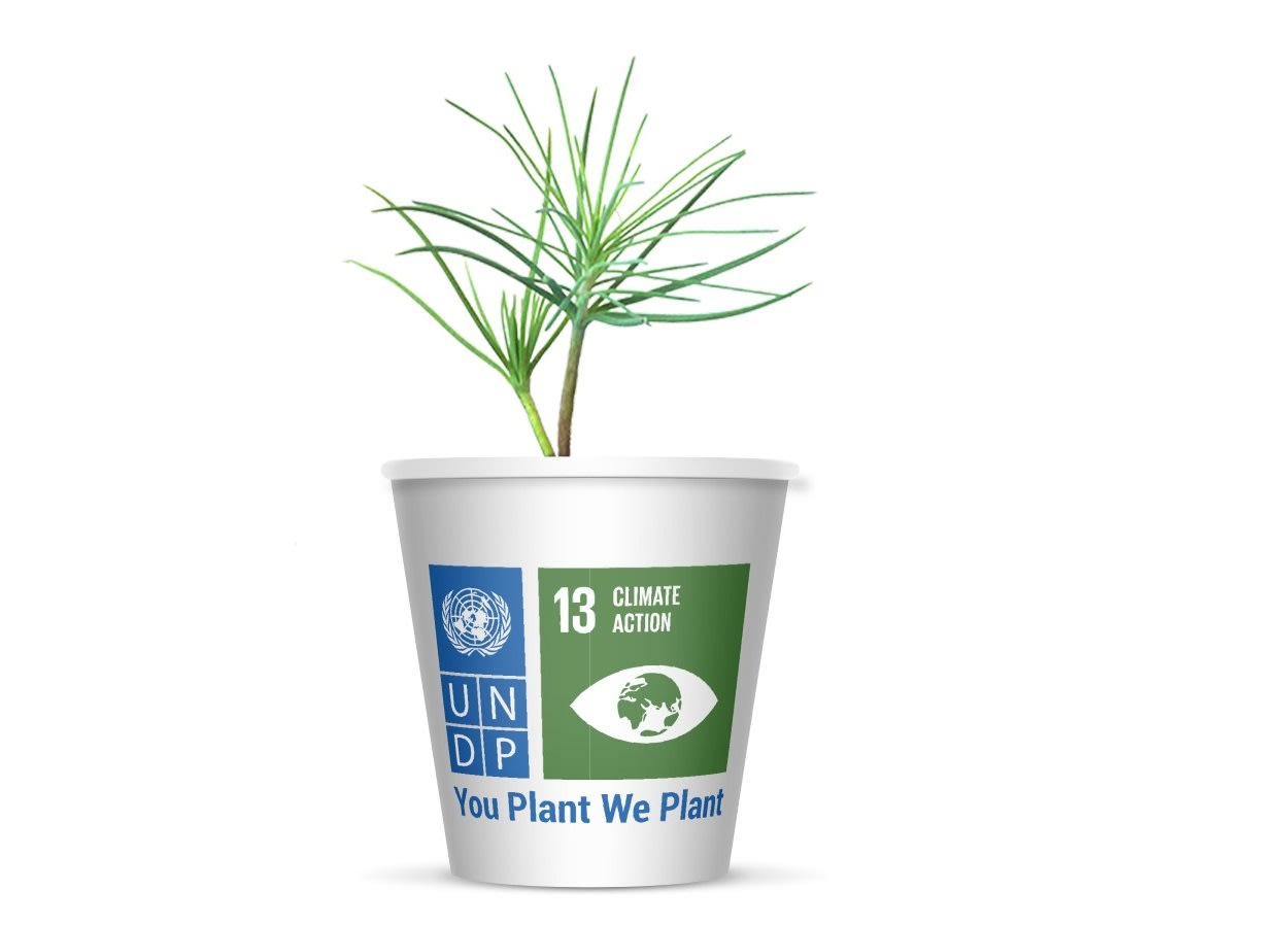 undp-white-youplantweplant-trees.jpg