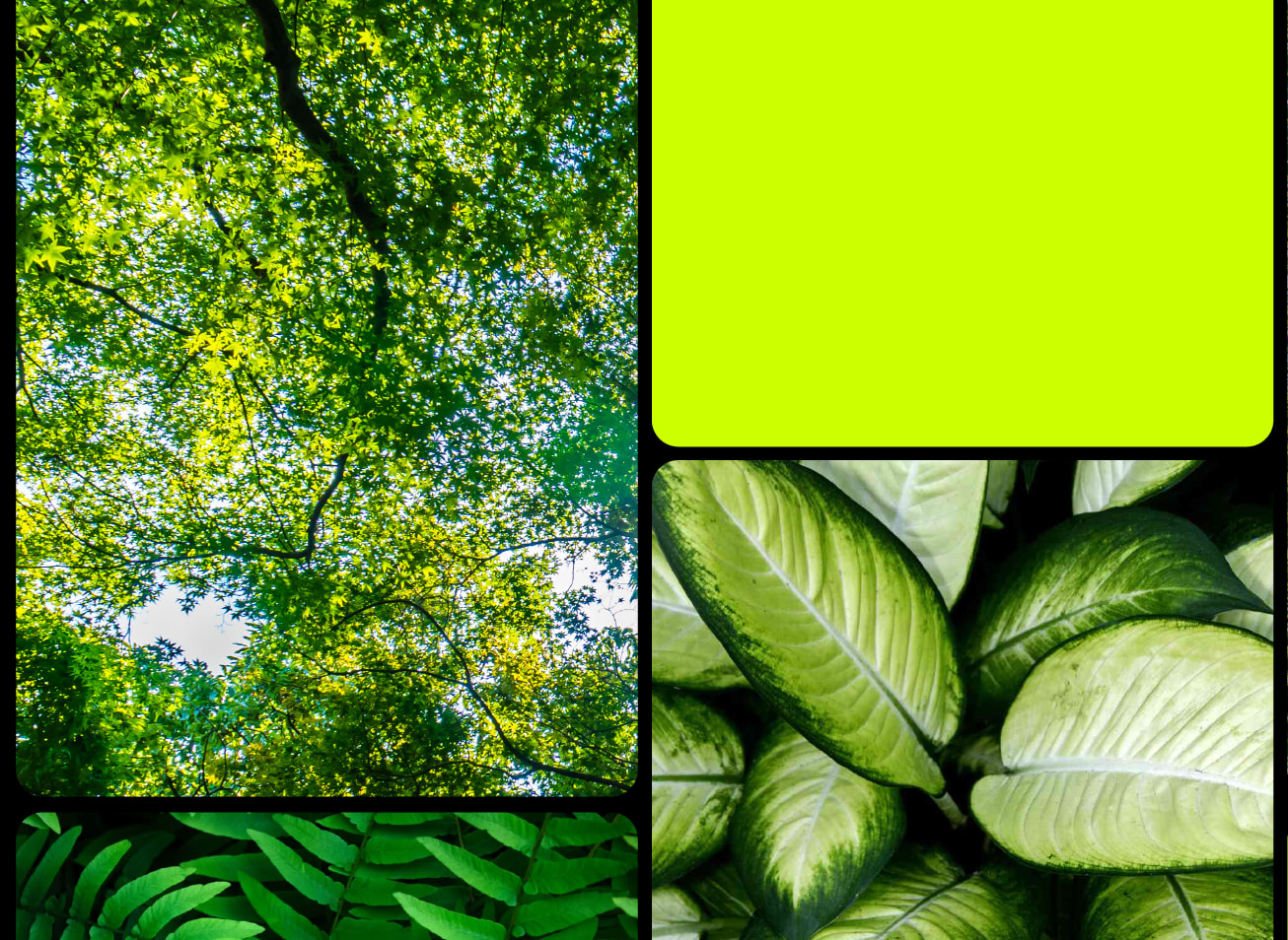 ddinternational banner 01 1