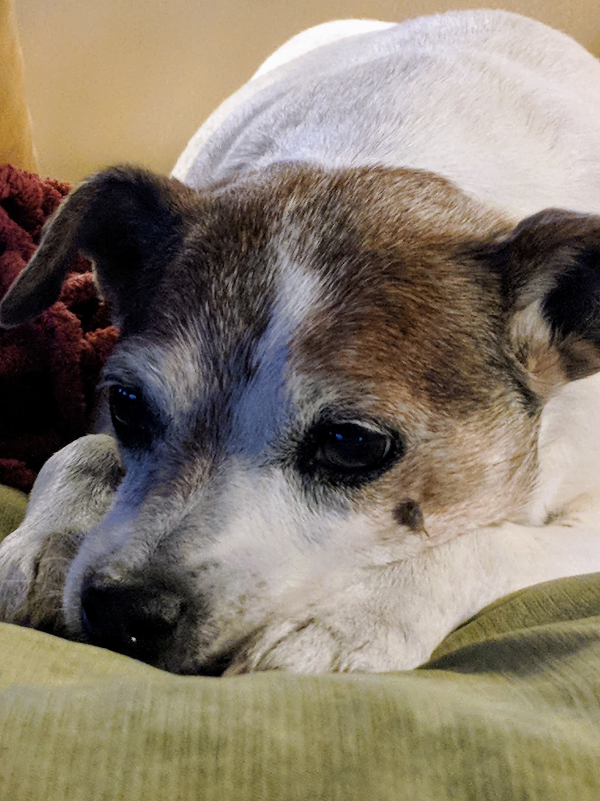 storage emulated pictures rylee mvimg 20180504 2008542
