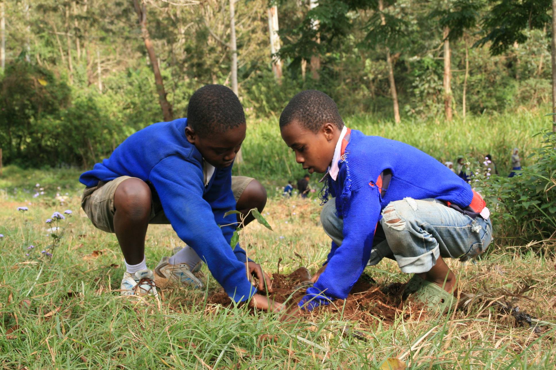 copy of tanzania tree planting 1