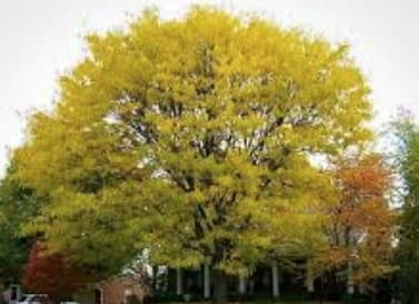 screen shot 2025 09 14 at 10.16.40 am