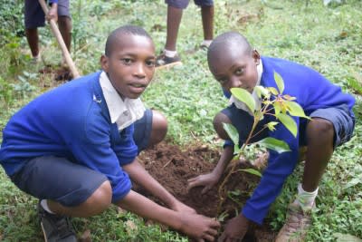 twff reforesting tanzania