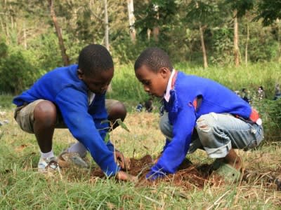 tanzania-tree-planting-project.jpg