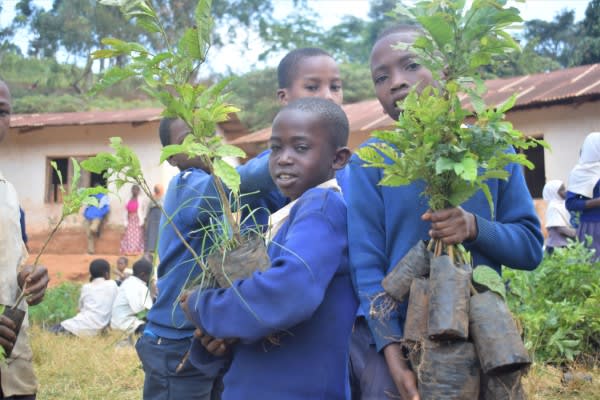 tanzania tree planting by happily