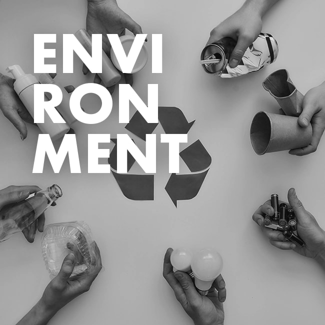 dd international sustainability 05 1