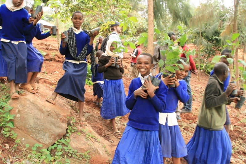 buildon forest tanzania 2
