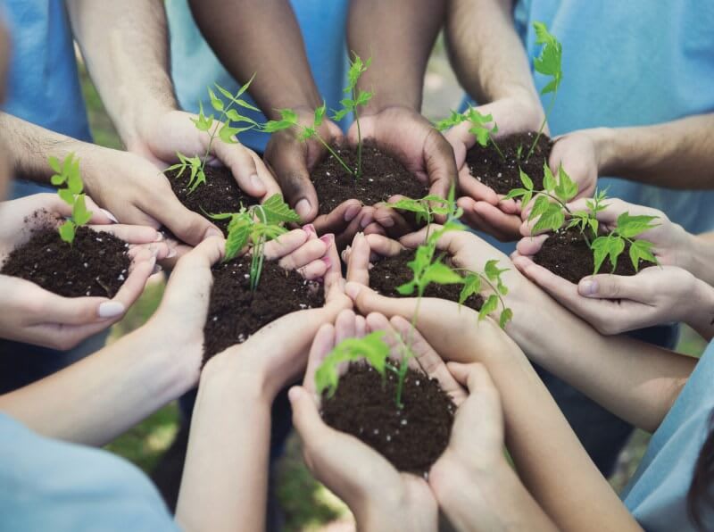 circle health group team trees