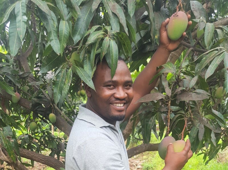 tanzania fruit harvest