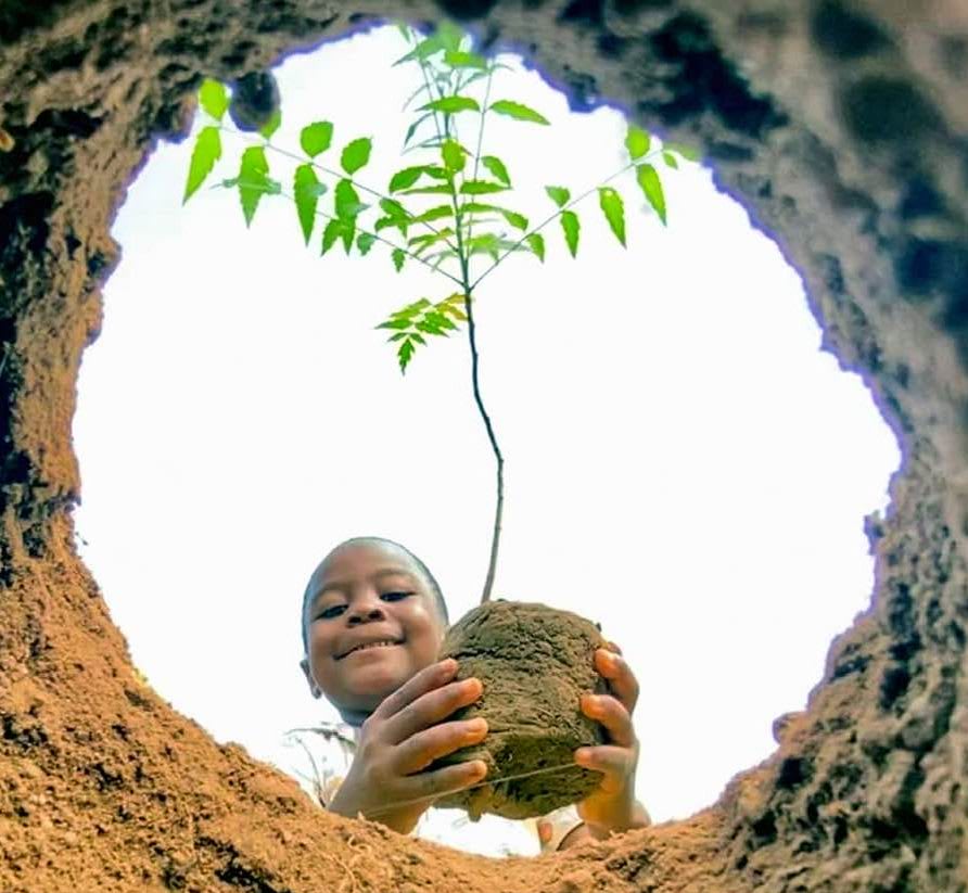 tanzania planting