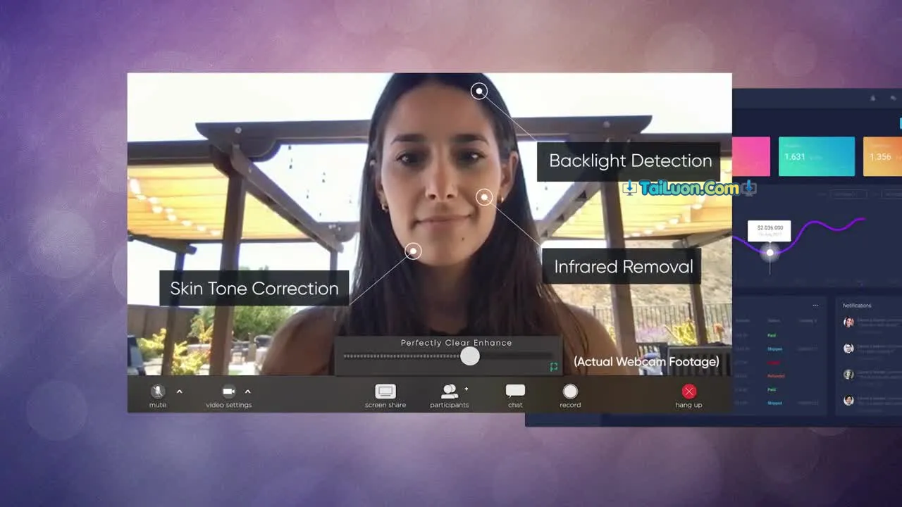 Phần mềm Perfectly Clear Video v4.5.0.2532 dành cho Windows