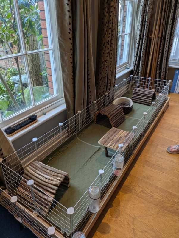 Picture of 8x2 C&C cage the guinea pig