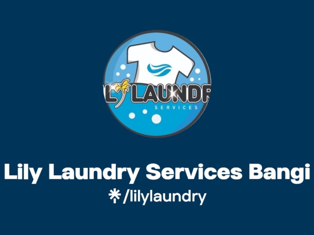 Lily Laundry - Pick & Delivery, Ironing, Dry Cleaning & Washing Service Bangi, Kajang