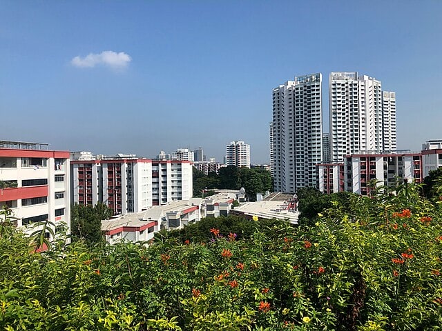 Woodlands