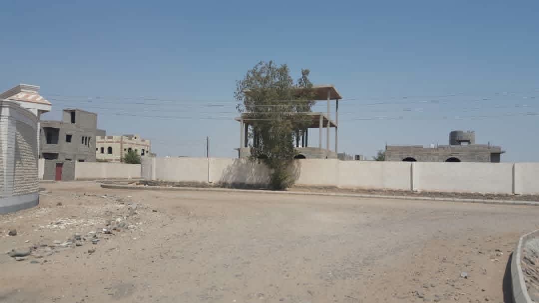 عدن