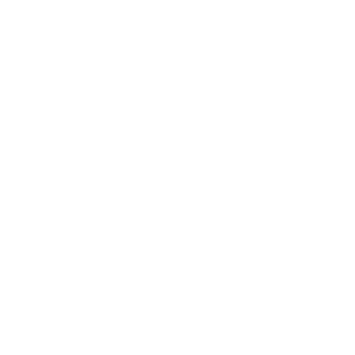 Premium hoodie