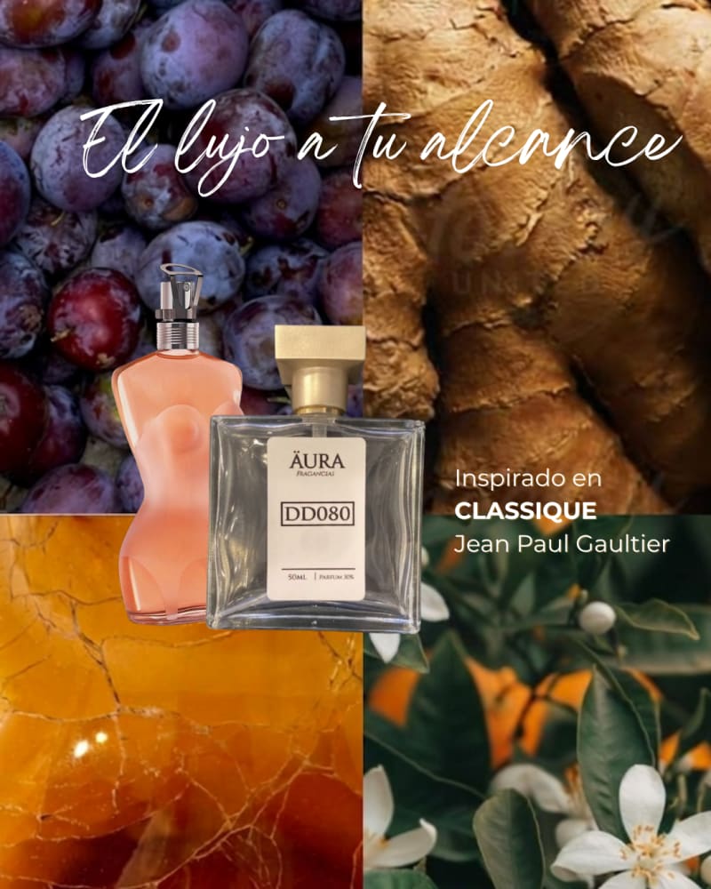 JPG WOMAN CLASSIQUE — inspiración JPG