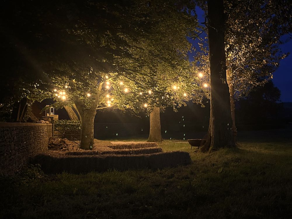 Vintage festoon lighting creating a warm and inviting atmosphere for Christmas parties