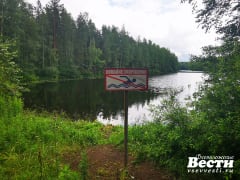 Где во Всеволожском районе можно купаться