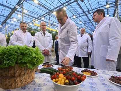 Помидоры всех цветов. Во Всеволожском районе открыли теплицу за 5 млрд рублей