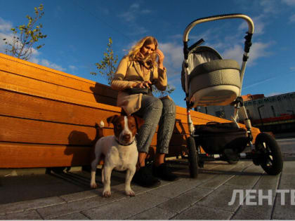 Погода в Санкт-Петербурге на начало октября