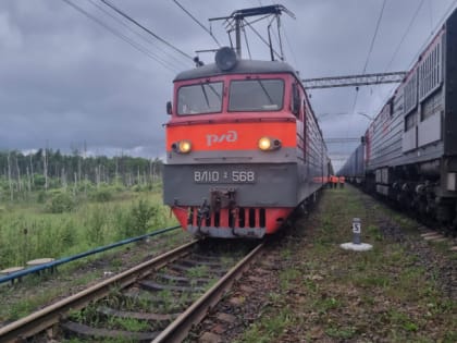 Поваленные деревья нарушили график движения поездов на Финляндском направлении