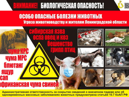 Весенние мероприятия государственной ветеринарной службы