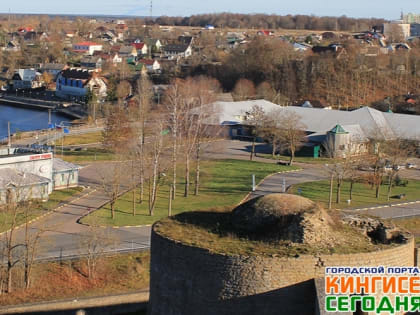 В Ивангороде и ещё на трёх погранпунктах Ленобласти прошли учения