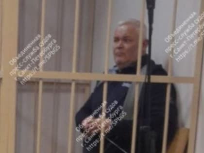 Дважды под стражей. Депутата ЗакСа Ленобласти Шадаева не отпустили домой