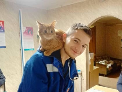 Сотрудники скорой помощи помогли роженице с кровотечением в Ленобласти