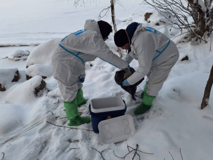 Внеплановые учения по ликвидации очагов птичьего гриппа